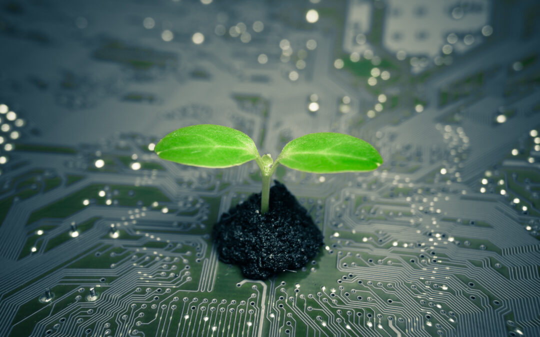 Green ICT – How can the digital sector accelerate the green transition?